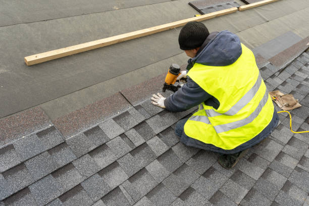 Roof Gutter Cleaning in Nokomis, IL