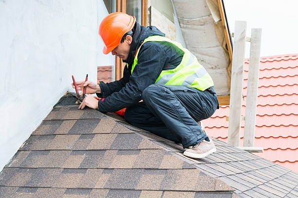 Best Roof Repair Services  in Nokomis, IL