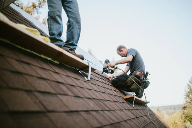 Best Roof Gutter Cleaning  in Nokomis, IL